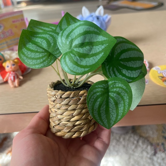 Cute toy lot 🥰 - Picture 7 of 7